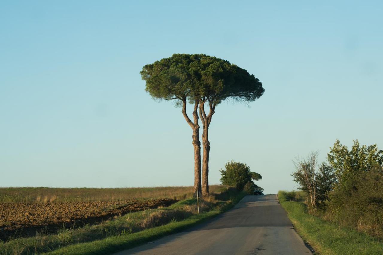 Villastrada  Agriturismo Palazzo Val Del Sasso מראה חיצוני תמונה