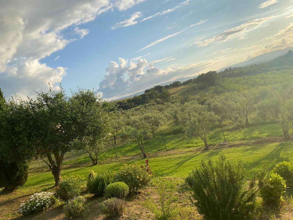 Villastrada  Agriturismo Palazzo Val Del Sasso מראה חיצוני תמונה