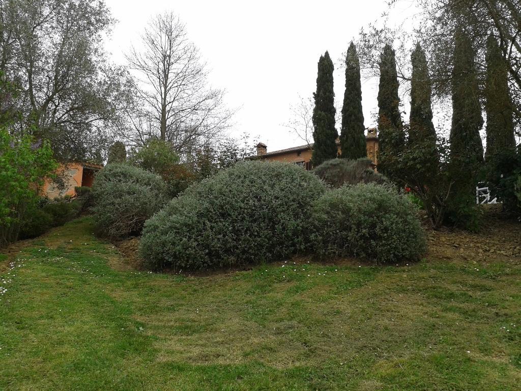 Villastrada  Agriturismo Palazzo Val Del Sasso מראה חיצוני תמונה